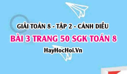 Bài 3 trang 50 Toán 8 Tập 2 Cánh Diều